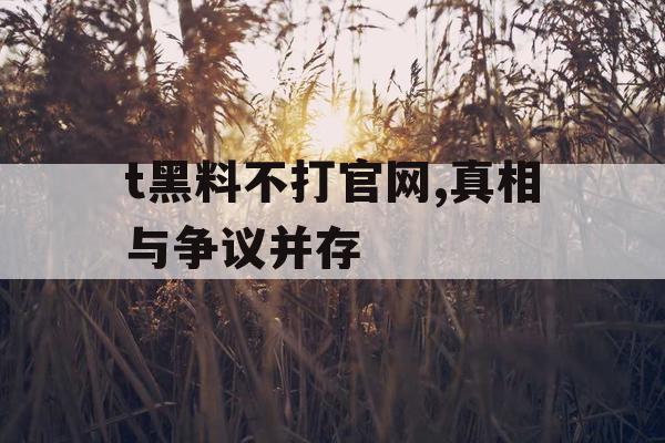 t黑料不打官网,真相与争议并存 t黑料不打官网,真相与争议并存