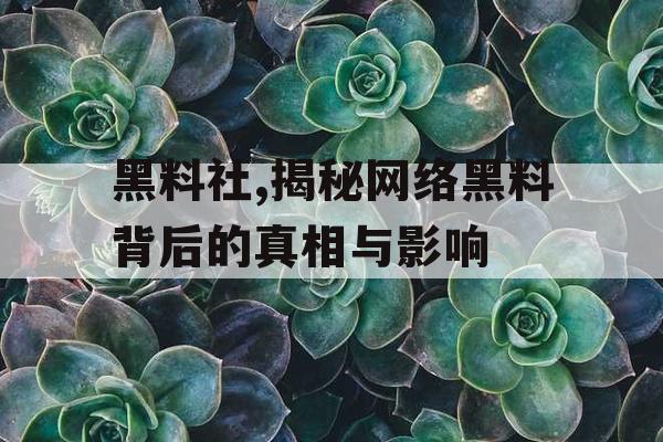 黑料社,揭秘网络黑料背后的真相与影响 黑料社,揭秘网络黑料背后的真相与影响