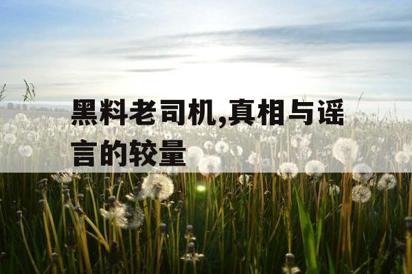 黑料老司机,真相与谣言的较量 黑料老司机,真相与谣言的较量