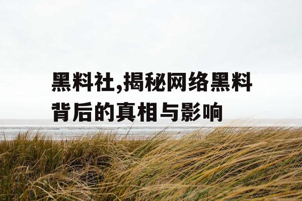 黑料社,揭秘网络黑料背后的真相与影响 黑料社,揭秘网络黑料背后的真相与影响