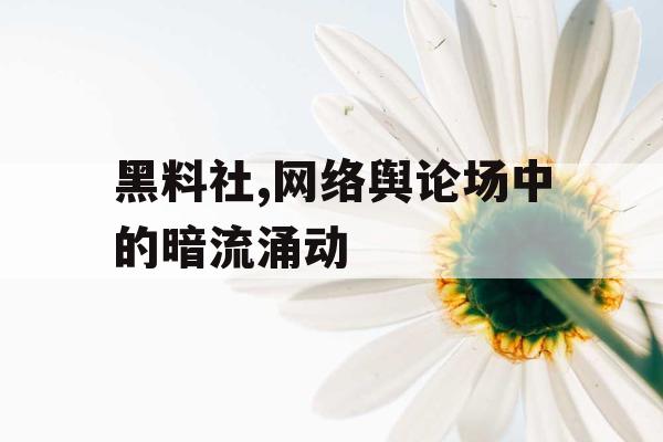 黑料社,网络舆论场中的暗流涌动 黑料社,网络舆论场中的暗流涌动