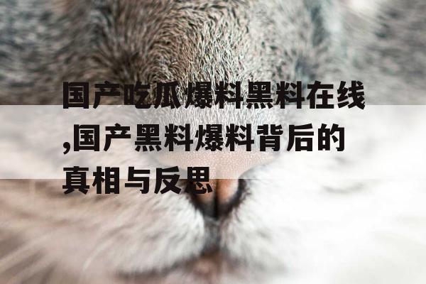 国产吃瓜爆料黑料在线,国产黑料爆料背后的真相与反思 国产吃瓜爆料黑料在线,国产黑料爆料背后的真相与反思