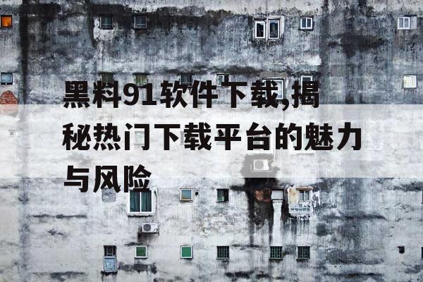 黑料91软件下载,揭秘热门下载平台的魅力与风险 黑料91软件下载,揭秘热门下载平台的魅力与风险