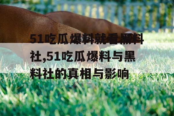 51吃瓜爆料就看黑料社,51吃瓜爆料与黑料社的真相与影响 51吃瓜爆料就看黑料社,51吃瓜爆料与黑料社的真相与影响