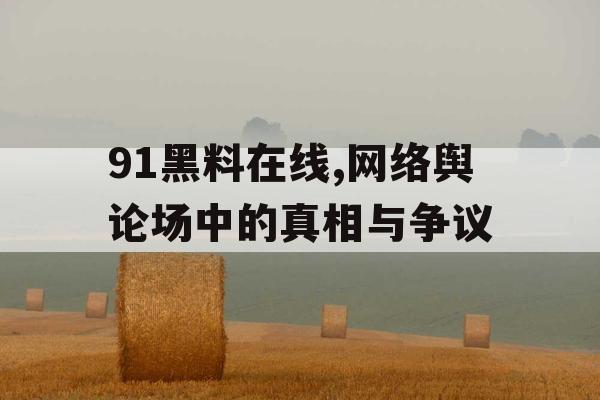 91黑料在线,网络舆论场中的真相与争议 91黑料在线,网络舆论场中的真相与争议