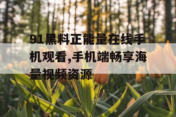 91黑料正能量在线手机观看,手机端畅享海量视频资源 91黑料正能量在线手机观看,手机端畅享海量视频资源