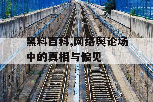 黑料百科,网络舆论场中的真相与偏见 黑料百科,网络舆论场中的真相与偏见