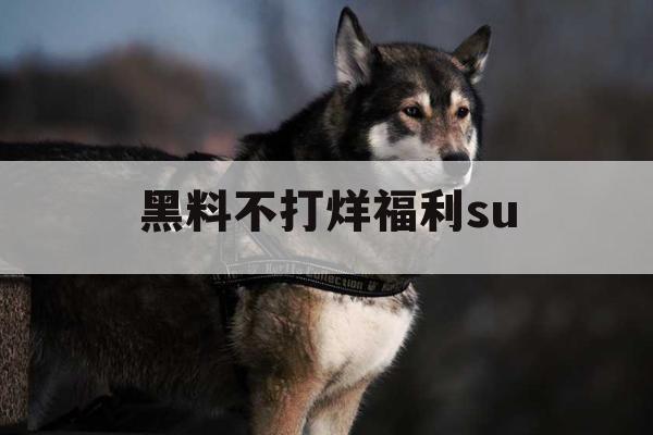 黑料不打烊福利su 黑料不打烊福利su