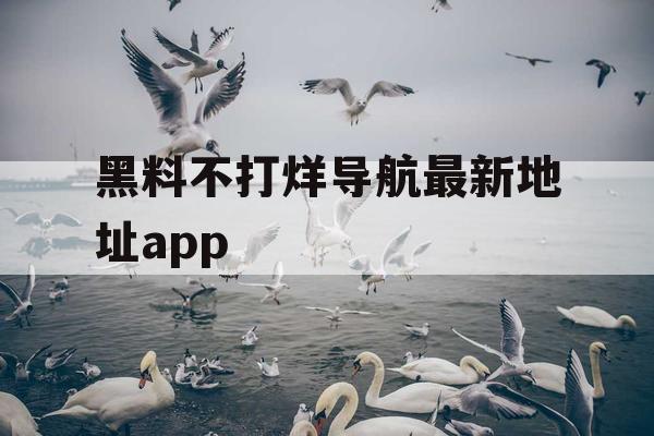 黑料不打烊导航最新地址app 黑料不打烊导航最新地址app