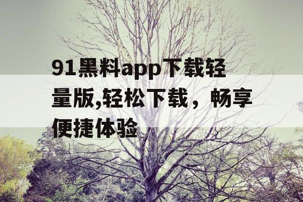 91黑料app下载轻量版,轻松下载,畅享便捷体验 91黑料app下载轻量版,轻松下载,畅享便捷体验