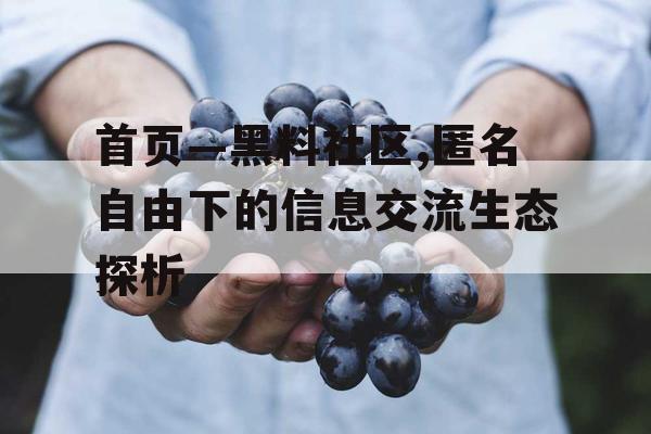 首页—黑料社区,匿名自由下的信息交流生态探析 首页—黑料社区,匿名自由下的信息交流生态探析
