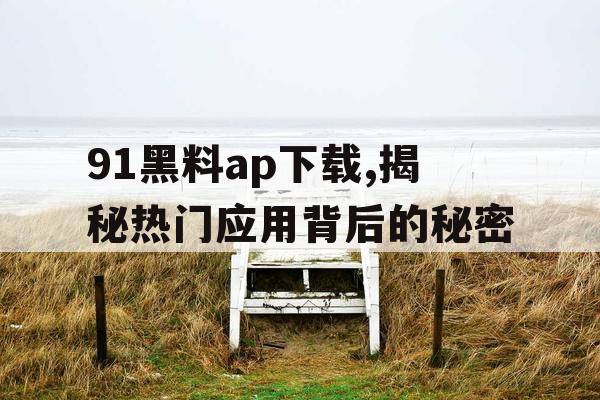 91黑料ap下载,揭秘热门应用背后的秘密 91黑料ap下载,揭秘热门应用背后的秘密