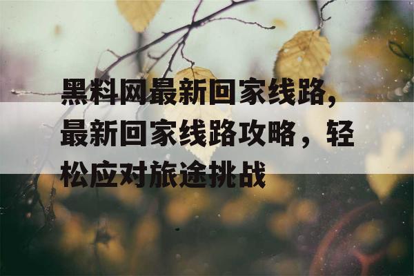 黑料网最新回家线路,最新回家线路攻略，轻松应对旅途挑战