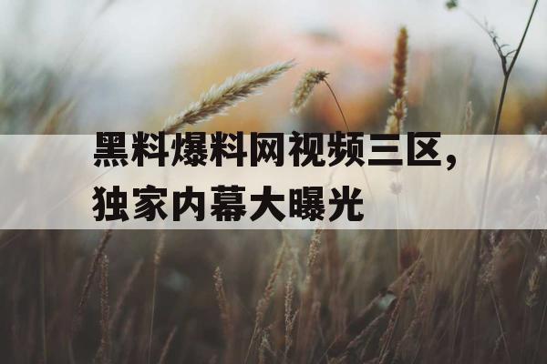 黑料爆料网视频三区,独家内幕大曝光 黑料爆料网视频三区,独家内幕大曝光