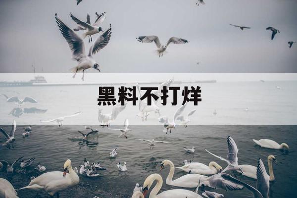 黑料不打烊 黑料不打烊