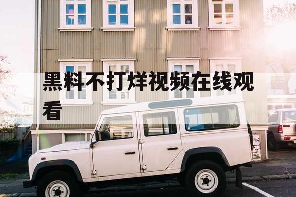 黑料不打烊视频在线观看 黑料不打烊视频在线观看