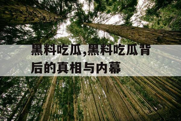 黑料吃瓜,黑料吃瓜背后的真相与内幕 黑料吃瓜,黑料吃瓜背后的真相与内幕