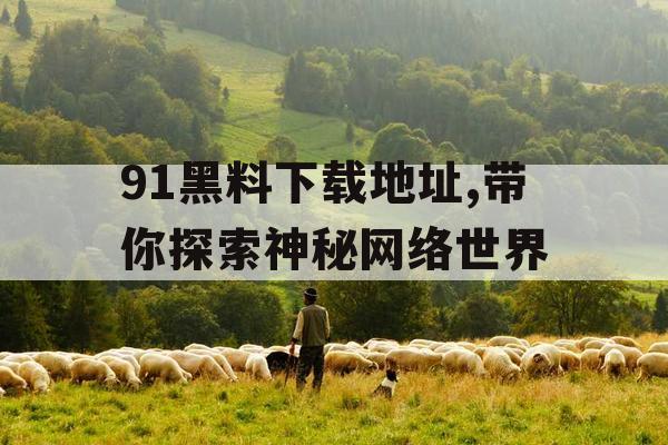 91黑料下载地址,带你探索神秘网络世界 91黑料下载地址,带你探索神秘网络世界