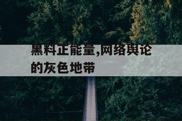 黑料正能量,网络舆论的灰色地带 黑料正能量,网络舆论的灰色地带