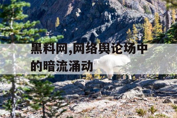 黑料网,网络舆论场中的暗流涌动 黑料网,网络舆论场中的暗流涌动