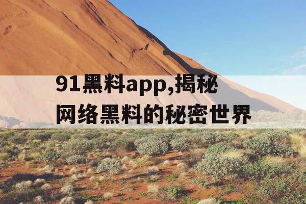 91黑料app,揭秘网络黑料的秘密世界 91黑料app,揭秘网络黑料的秘密世界