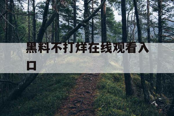 黑料不打烊在线观看入口 黑料不打烊在线观看入口