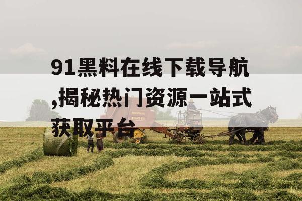 91黑料在线下载导航,揭秘热门资源一站式获取平台 91黑料在线下载导航,揭秘热门资源一站式获取平台