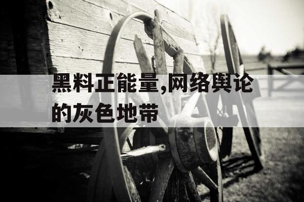 黑料正能量,网络舆论的灰色地带 黑料正能量,网络舆论的灰色地带