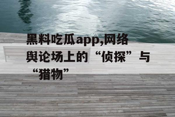 黑料吃瓜app,网络舆论场上的“侦探”与“猎物” 黑料吃瓜app,网络舆论场上的“侦探”与“猎物”