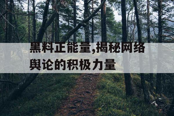 黑料正能量,揭秘网络舆论的积极力量 黑料正能量,揭秘网络舆论的积极力量