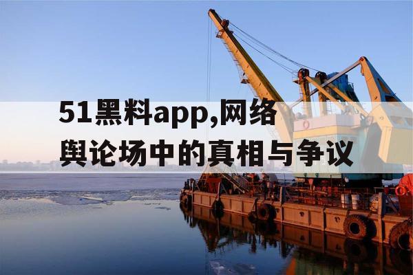 51黑料app,网络舆论场中的真相与争议 51黑料app,网络舆论场中的真相与争议