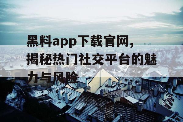 黑料app下载官网,揭秘热门社交平台的魅力与风险 黑料app下载官网,揭秘热门社交平台的魅力与风险