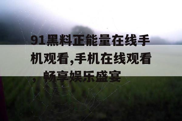 91黑料正能量在线手机观看,手机在线观看,畅享娱乐盛宴 91黑料正能量在线手机观看,手机在线观看,畅享娱乐盛宴