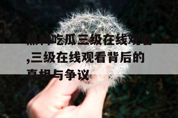 黑料吃瓜三级在线观看,三级在线观看背后的真相与争议 黑料吃瓜三级在线观看,三级在线观看背后的真相与争议