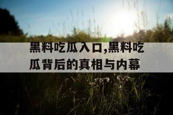 黑料吃瓜入口,黑料吃瓜背后的真相与内幕 黑料吃瓜入口,黑料吃瓜背后的真相与内幕