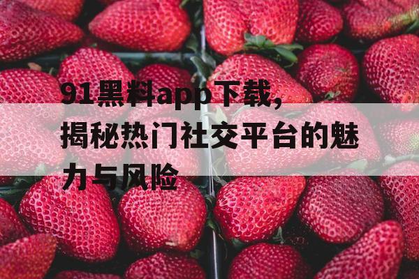 91黑料app下载,揭秘热门社交平台的魅力与风险 91黑料app下载,揭秘热门社交平台的魅力与风险