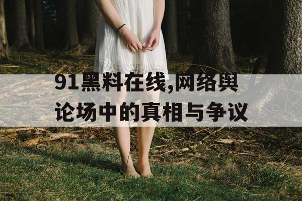 91黑料在线,网络舆论场中的真相与争议 91黑料在线,网络舆论场中的真相与争议