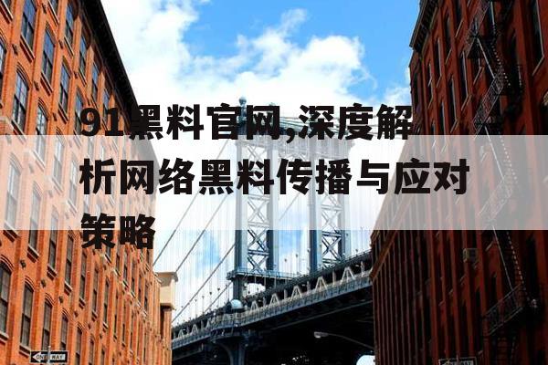 91黑料官网,深度解析网络黑料传播与应对策略 91黑料官网,深度解析网络黑料传播与应对策略