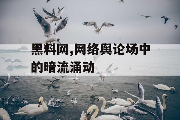 黑料网,网络舆论场中的暗流涌动 黑料网,网络舆论场中的暗流涌动