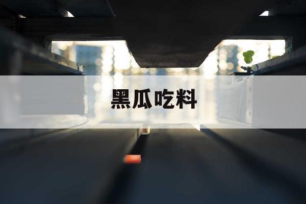 黑瓜吃料 黑瓜吃料
