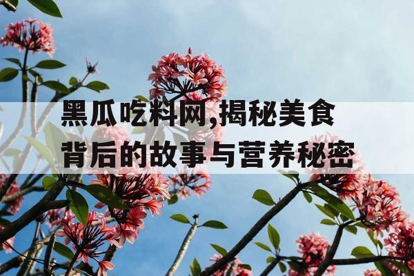 黑瓜吃料网,揭秘美食背后的故事与营养秘密 黑瓜吃料网,揭秘美食背后的故事与营养秘密