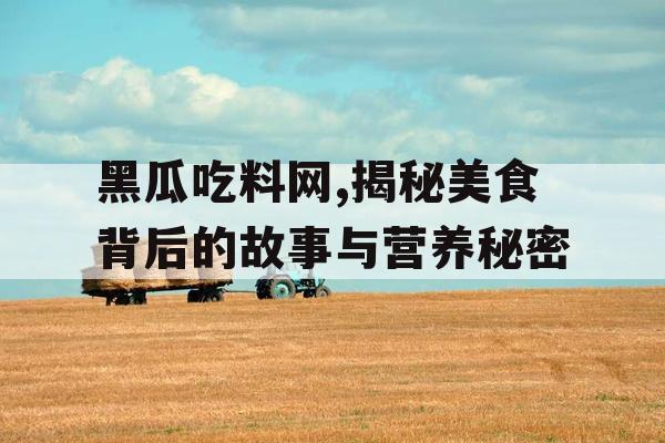 黑瓜吃料网,揭秘美食背后的故事与营养秘密 黑瓜吃料网,揭秘美食背后的故事与营养秘密