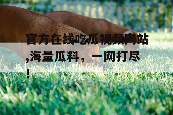 官方在线吃瓜视频网站,海量瓜料,一网打尽! 官方在线吃瓜视频网站,海量瓜料,一网打尽!