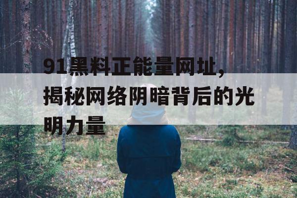 91黑料正能量网址,揭秘网络阴暗背后的光明力量