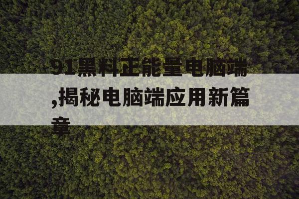 91黑料正能量电脑端,揭秘电脑端应用新篇章 91黑料正能量电脑端,揭秘电脑端应用新篇章