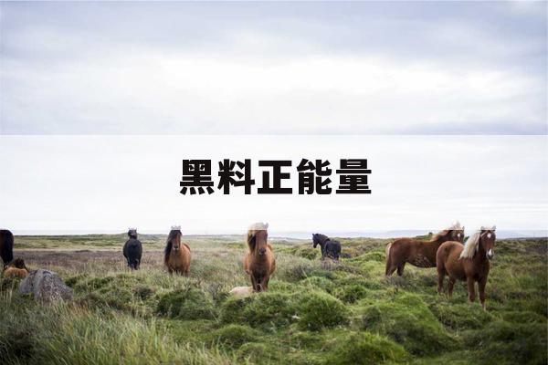 黑料正能量 黑料正能量