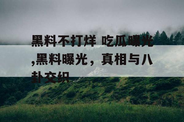 黑料不打烊 吃瓜曝光,黑料曝光,真相与八卦交织 黑料不打烊 吃瓜曝光,黑料曝光,真相与八卦交织