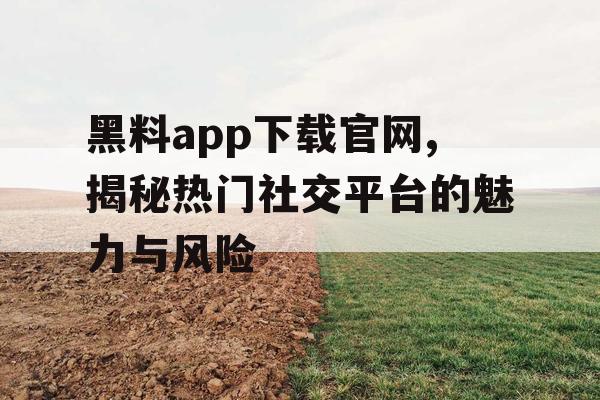 黑料app下载官网,揭秘热门社交平台的魅力与风险 黑料app下载官网,揭秘热门社交平台的魅力与风险