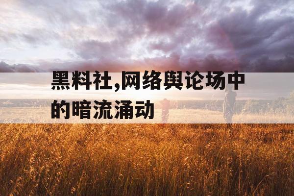 黑料社,网络舆论场中的暗流涌动 黑料社,网络舆论场中的暗流涌动