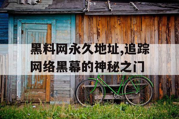 黑料网永久地址,追踪网络黑幕的神秘之门 黑料网永久地址,追踪网络黑幕的神秘之门